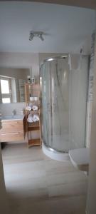 ein Bad mit einer Dusche, einem WC und einem Waschbecken in der Unterkunft Prosta Butelkowa in Toruń