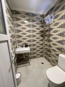 een badkamer met een wastafel en een toilet bij The Antares in Istanbul