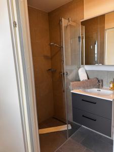 Bilik mandi di GLOCKNERALM - HIKING- and SKIHOTEL exklusively accessible by cable car