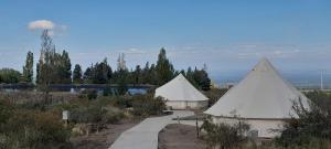 a group of three tents in a field at Sabático Glamping in Tunuyán