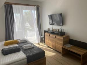 Televiisor ja/või meelelahutuskeskus majutusasutuses D&D Wellness Apartmanok - Dávid Wellness Apartman