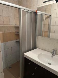 a bathroom with a sink and a shower at Arbeiten Zimmer in Linz