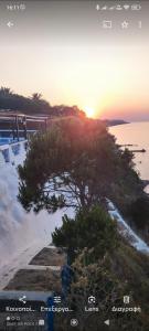 a tree on the beach with the sunset in the background at Koralli Sea View Hotel in Kato Achaia +16 photos