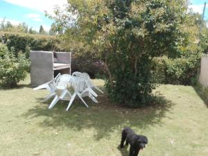 a black dog standing next to a table and chairs at Cabañas Alicia in San Rafael