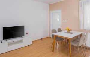 Μια τηλεόραση ή/και κέντρο ψυχαγωγίας στο 1 Bedroom Awesome Apartment In Nova Vas