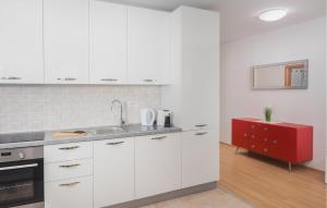 Η κουζίνα ή μικρή κουζίνα στο 1 Bedroom Awesome Apartment In Nova Vas