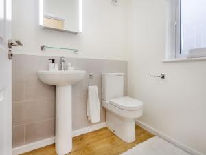 uma casa de banho branca com um WC e um lavatório em Oak View Lodge em Llanrhaiadr