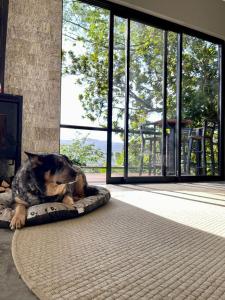un perro tirado en una alfombra en una habitación con ventanas en Casa Buda - Garopaba - SC en Garopaba