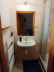 Kúpeľňa v ubytovaní Apartmán se dvěma ložnicemi
