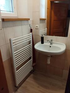 a bathroom with a sink and a mirror at Apartmán se dvěma ložnicemi in Zlín