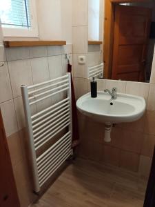 y baño con lavabo y espejo. en Apartmán se dvěma ložnicemi, en Zlín