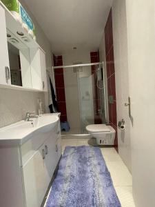 La salle de bains est pourvue de toilettes, d'un lavabo et d'une douche. dans l'établissement Taksim Square 2plus1 Big Flat on the Center with 2 Bathroom, à Istanbul