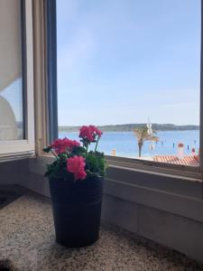 un jarrón con flores sentado frente a una ventana en F76. Vistas al mar en Fornells!, en Fornells