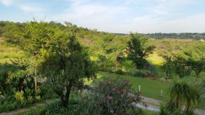 a garden with trees and a hill in the background at North Haven Country Estate in Honeydew +51 photos