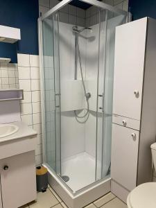 a shower with a glass door in a bathroom at Appartement F2 meublé in Dunkerque