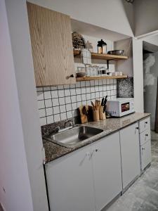 um balcão de cozinha com um lavatório e um micro-ondas em Fresco apto a 10 min del aeropuerto y la ciudad na Cidade do Panamá