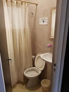 a bathroom with a toilet and a sink at Hotel Marilian II in Salta