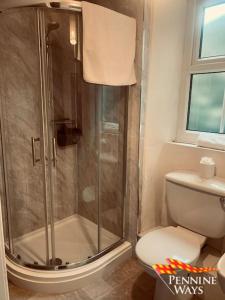 a bathroom with a shower and a toilet at Fairleas Farm - Idyllic Countryside Retreat in Saint Johns Chapel