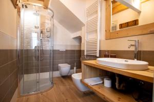 a bathroom with a shower and a sink and a toilet at Begale - Rifugio Urbano in Rotzo