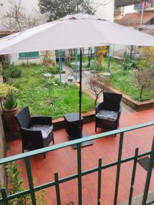 Zahrada ubytování Casa Spadi