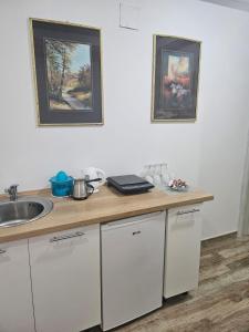 a kitchen counter with a sink and two pictures on the wall at ForS Resort & Spa in Belgrade