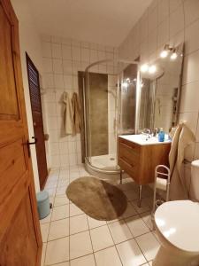 a bathroom with a shower and a sink at Ferienwohnung Bonishof in Westerholt