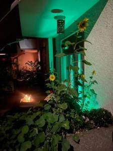 une chambre avec un tournesol et une lumière verte dans l'établissement Bellezza in Lorraine, à Berne