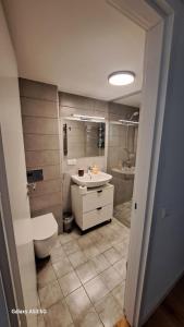 uma casa de banho com um WC e um lavatório em KaunasInn - AM em Kaunas