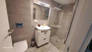 uma casa de banho com um WC, um lavatório e um chuveiro em KaunasInn - AM em Kaunas