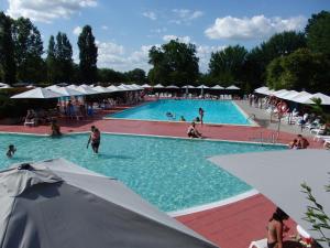 Bazén v ubytování Camping Village la Chiocciola nebo v jeho okolí