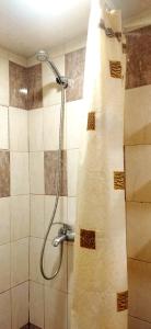 eine Dusche mit Duschkopf im Bad in der Unterkunft Asine Yerevan in Yerevan