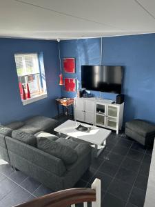 sala de estar con sofá y TV de pantalla plana en Tversted Strandpark, en Bindslev
