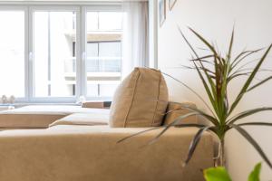 O zonă de relaxare la Miramar - garage available