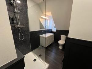 a bathroom with a glass shower and a toilet at Peaceful flat in The Park in Nottingham