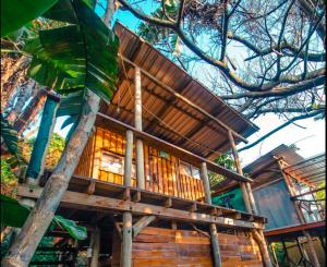 a tree house in the middle of a forest at Mantis and Moon Backpackers and Surf Hostel in Hibberdene