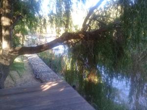 Fotografie z fotogalerie ubytování De Hollandsche Molen v destinaci Hou Moed