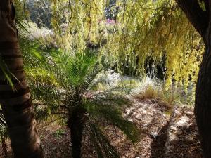 Fotografie z fotogalerie ubytování De Hollandsche Molen v destinaci Hou Moed + 7 fotografií