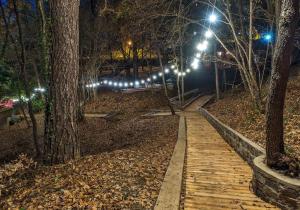 un camino de madera en un parque por la noche con luces en Camping Ripolles, en Ripoll