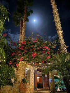 A garden outside Hotel Redebora