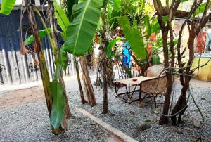 une table et une chaise assises à côté des arbres dans l'établissement BLUE SOPHY Residency, à Varkala