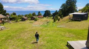 a man walking in a field of grass at Tinyhouses Mirador del Lago in Puerto Varas