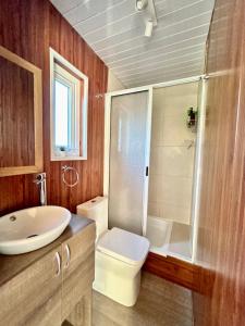 a bathroom with a sink and a toilet and a shower at Tinyhouses Mirador del Lago in Puerto Varas +5 photos