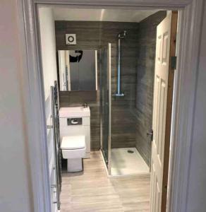 a bathroom with a toilet and a shower and a sink at Beautiful 5Bedroom Hse-Contractor/Family/Corporate in Kent