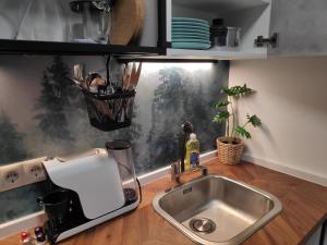 eine Küchentheke mit einem Waschbecken und einem Fenster in der Unterkunft NEU Renoviertes Modernes Studio im Zentrum in Wiener Neustadt