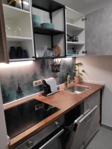 eine Küche mit einer Spüle und einer Arbeitsplatte in der Unterkunft NEU Renoviertes Modernes Studio im Zentrum in Wiener Neustadt