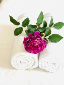 dwa białe ręczniki z różową różą na nich w obiekcie An's Home Hotel Vũng Tàu w mieście Vung Tau