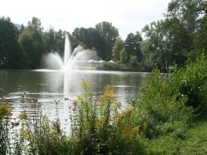 einen Brunnen inmitten eines Sees in der Unterkunft Ferienwohnung Königsberg in Bad König