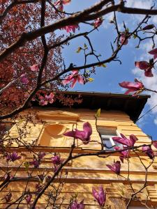 Galeriebild der Unterkunft The Villa, Ljubljana city center in Ljubljana