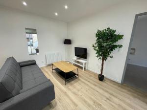ein Wohnzimmer mit einem Sofa und einem Topf in der Unterkunft APPARTEMENT T3 hyper centre numéro 002 in Roanne