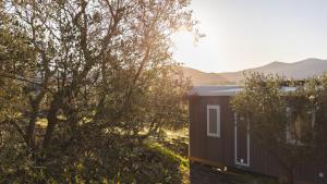 a tiny house in the middle of some trees at Le Fraine - Agriturismo & Olives Glamping in Santa Luce
